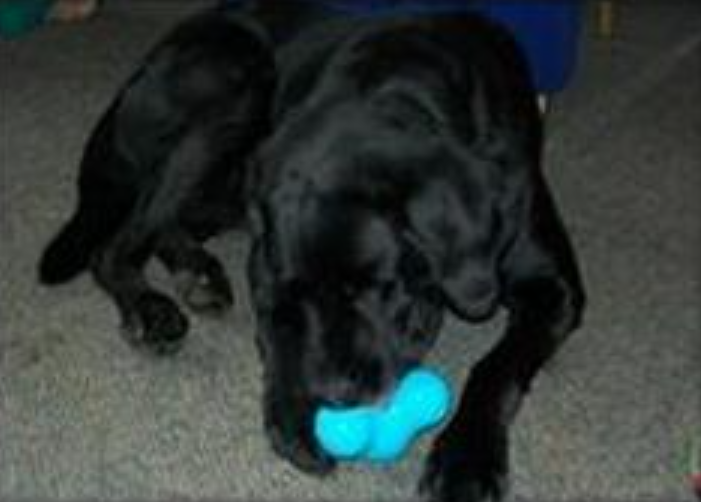 Jed 2006-2018 Jed 2006-2018