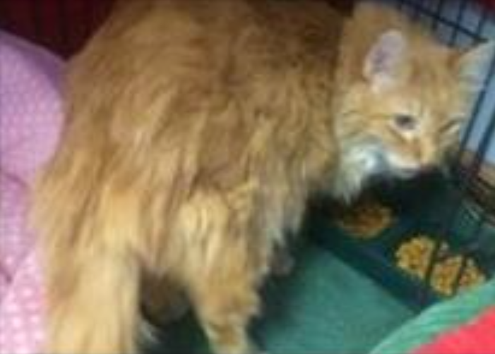 Morgan 2001-2017 Morgan 2001-2017